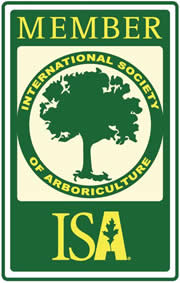logo member ISA